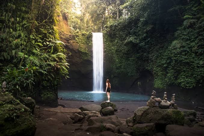 Ubud: Spectacular waterfall in a day tour